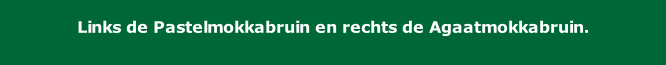 Links de Pastelmokkabruin en rechts de Agaatmokkabruin.