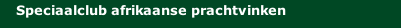 Speciaalclub afrikaanse prachtvinken